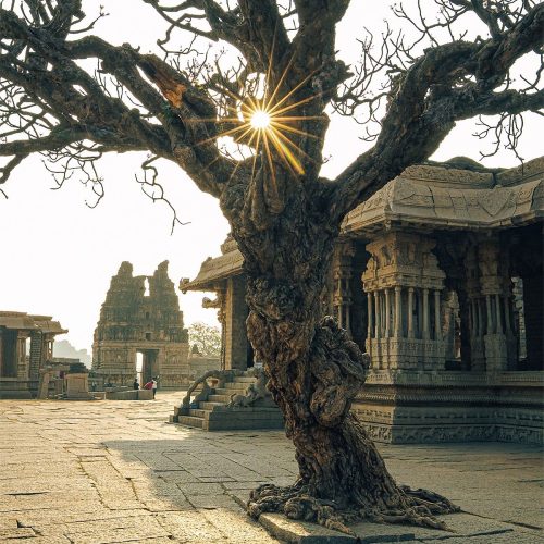 d842d39ec159d15ab6d039667268240a